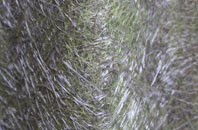 East Ashling fibreglass roof work